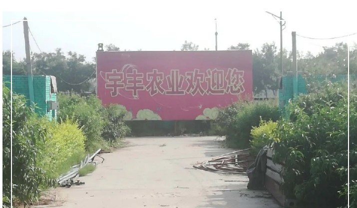 建一個市場、興一方產(chǎn)業(yè)、富一方百姓，孝義農(nóng)產(chǎn)品大市場產(chǎn)供銷一體化在行動！