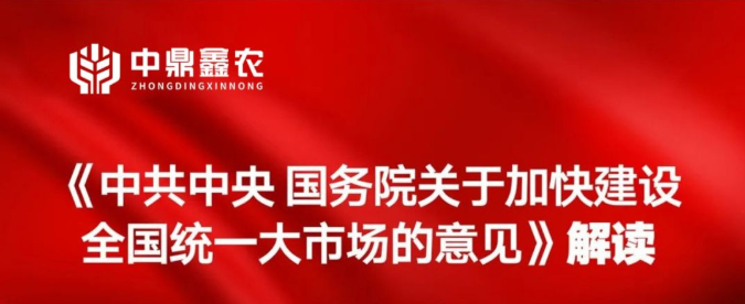 《中共中央 國務(wù)院關(guān)于加快建設(shè)全國統(tǒng)一大市場的意見》解讀