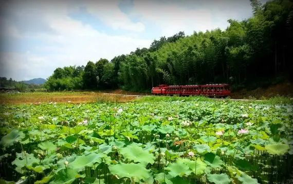 農業(yè)農村部：預計未來5到10年，農業(yè)農村投資需求近15萬億元